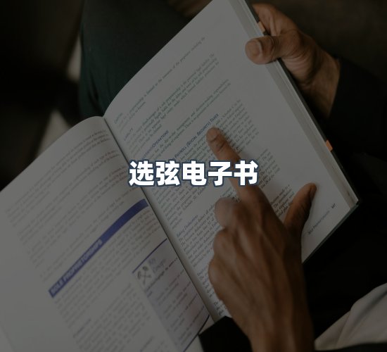 关于选弦电子书